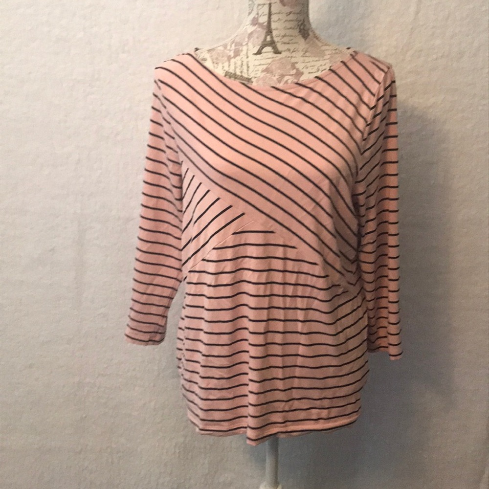 Talbots pink and black Stripes blouse